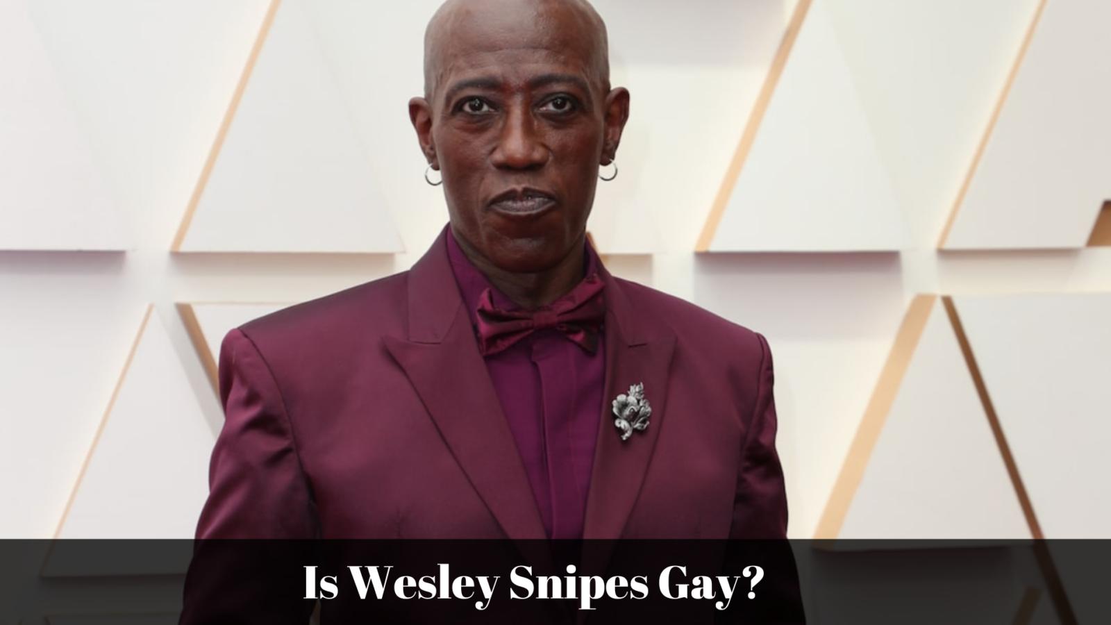 Is Wesley Snipes Gay?