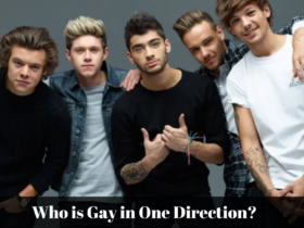 who is gay in one direction