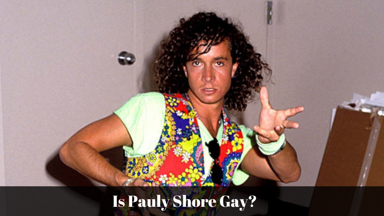 Is Pauly Shore Gay?