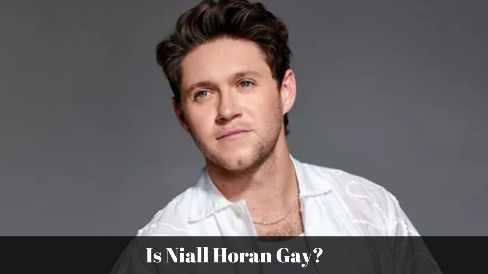 Is Niall Horan Gay?