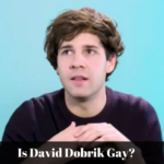 is david dobrik gay
