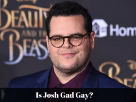 Is Josh Gad Gay?